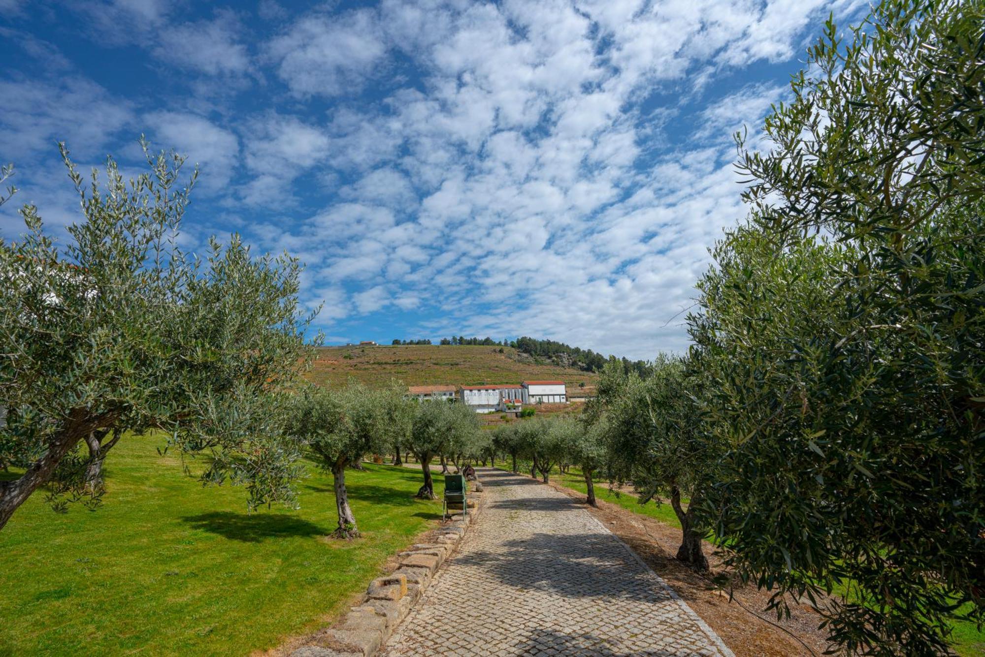 Valonquinta - Agro Hotel & Spa Vila Flor Exteriör bild
