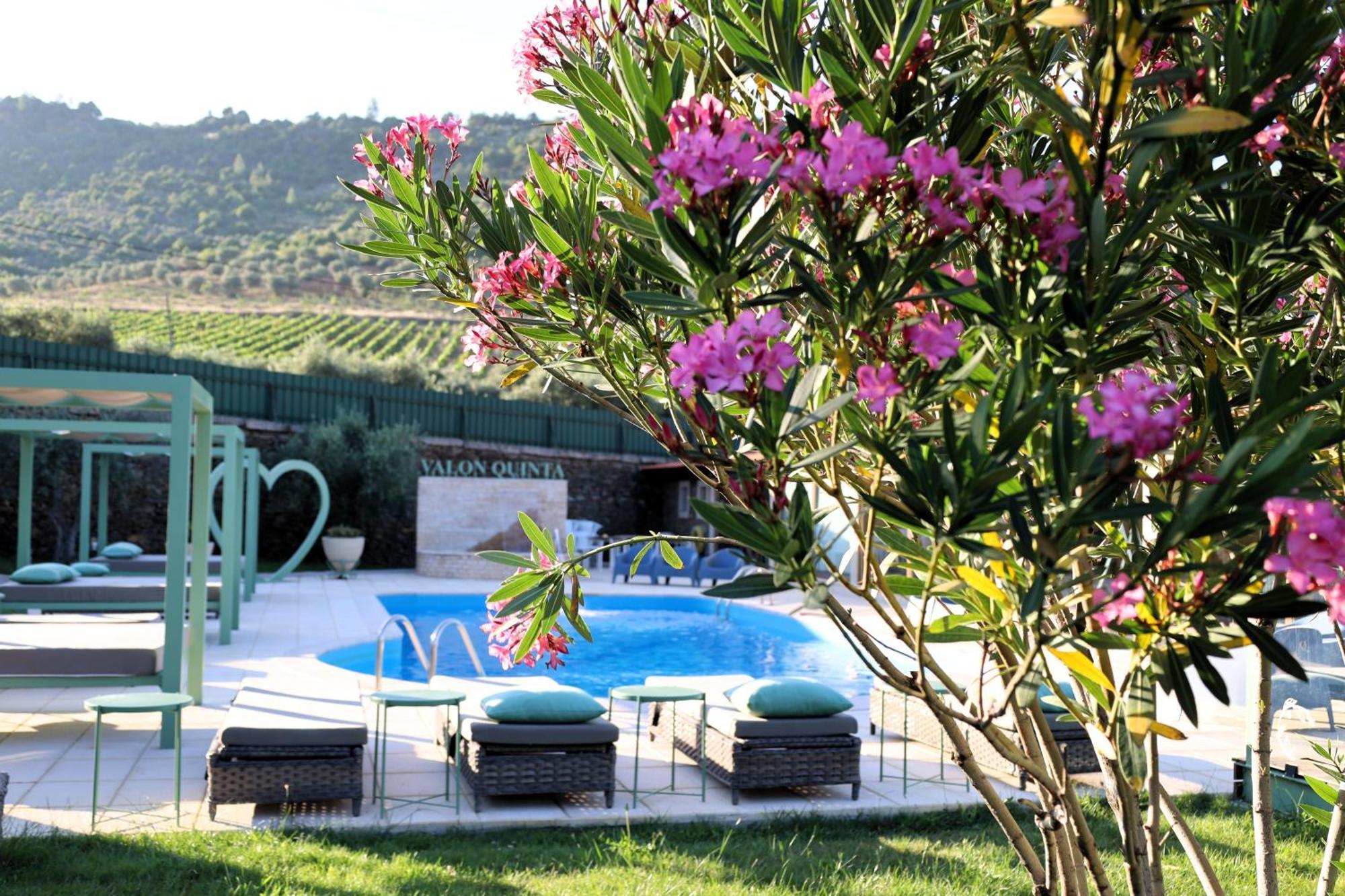 Valonquinta - Agro Hotel & Spa Vila Flor Exteriör bild